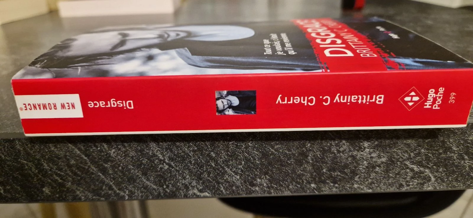 Livre Disgraça – photo 3